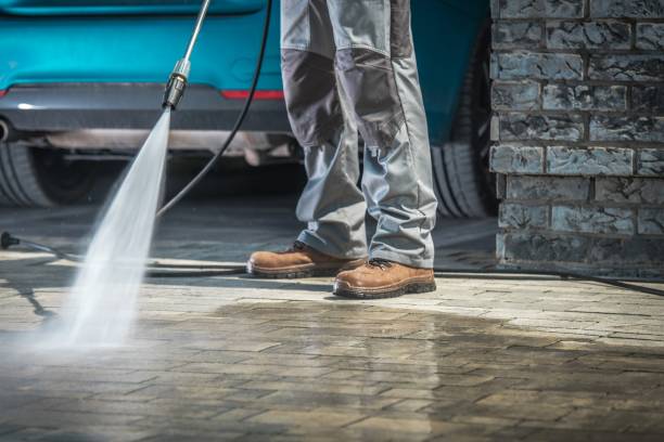 Best Gutter Cleaning  in Vista, CA