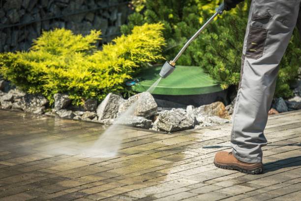 Best Sidewalk and Walkway Cleaning  in Vista, CA