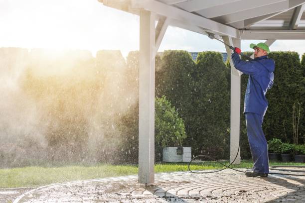 Best Driveway Pressure Washing  in Vista, CA