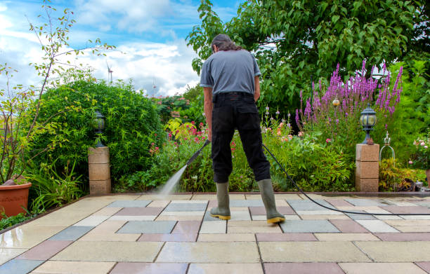 Best Winterizing Services  in Vista, CA