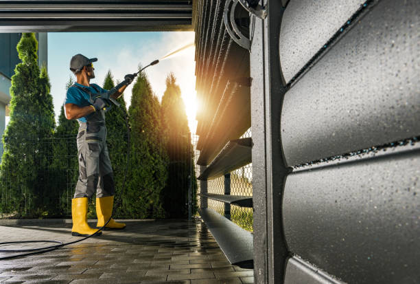 Best Roof Washing  in Vista, CA